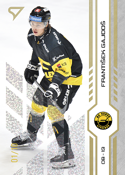 Frantisek Gajdos Litvinov Tipsport ELH 2024/25 SportZoo 2. serie Golden Glow /10 #280
